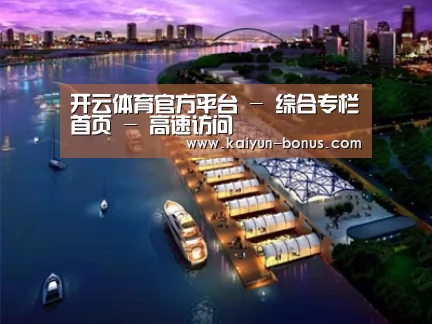 案例展示八