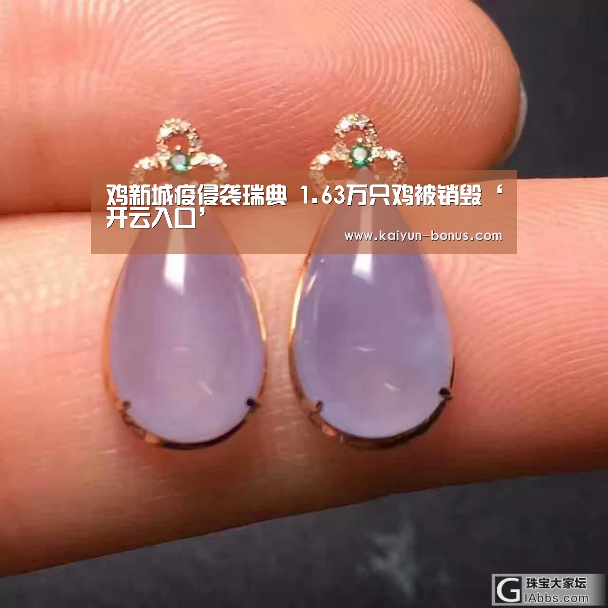 鸡新城疫侵袭瑞典 1.63万只鸡被销毁‘开云入口’(图2) 开云频道