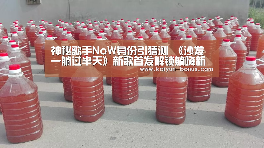 神秘歌手NoW身份引猜测 《沙发一躺过半天》新歌首发解锁躺嗨新模式-开云游戏(图3) 开云频道