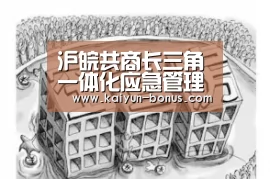 沪皖共商长三角一体化应急管理协同发展-开云频道(图1) 开云游戏
