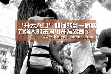 ‘开云入口’如何找到一家实力强大的法国小开发公司?(图3) 开云官网