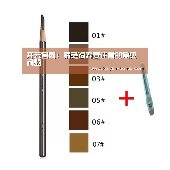 开云入口