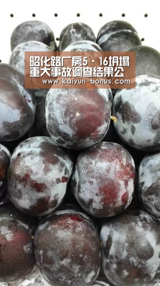 开云官网