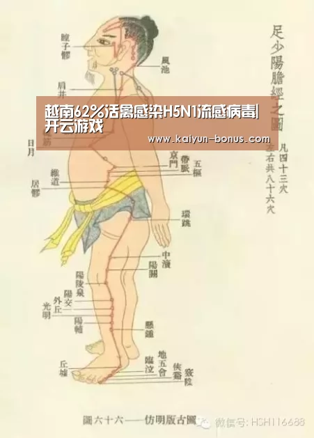 开云频道