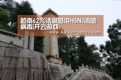 开云入口