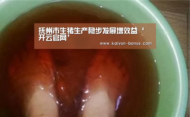 抚州市生猪生产稳步发展增效益‘开云官网’(图1) 开云频道