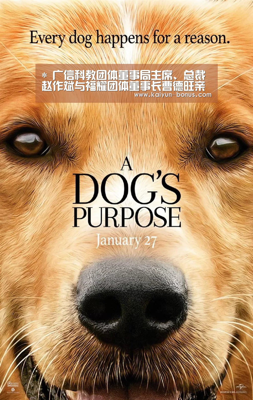 开云官网