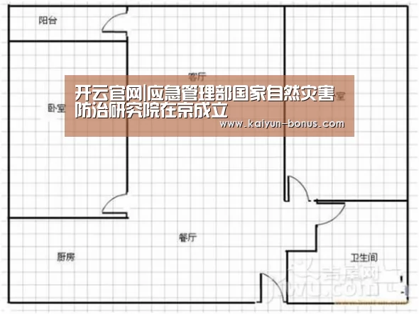 开云官网|应急管理部国家自然灾害防治研究院在京成立(图2) 开云入口