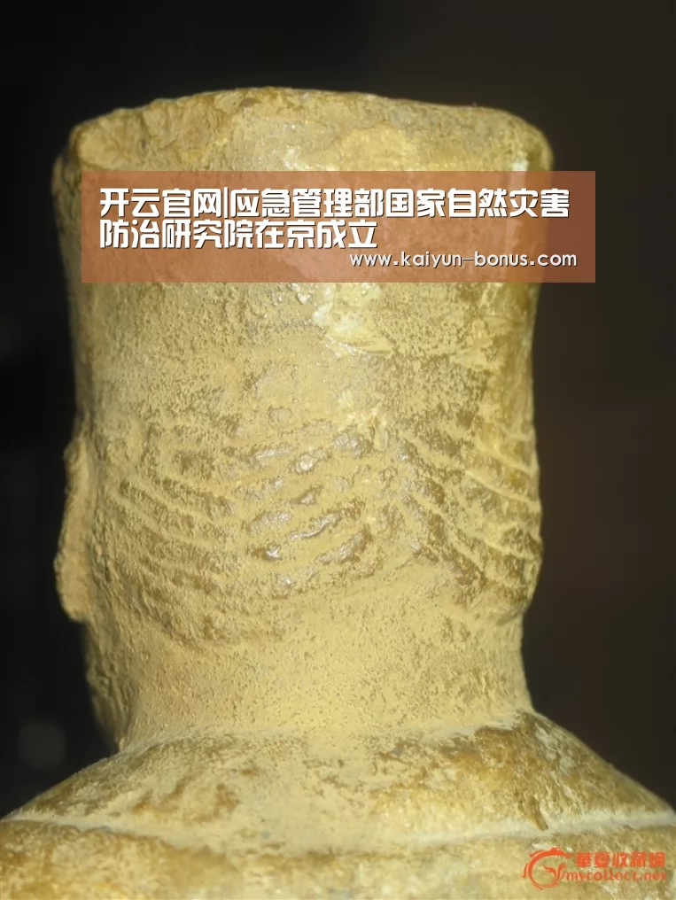 开云官网|应急管理部国家自然灾害防治研究院在京成立(图3) 开云游戏