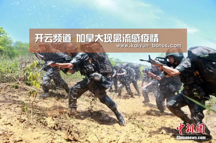 开云频道_加拿大现禽流感疫情(图3) 开云官网