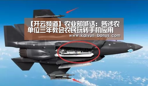 【开云频道】农业部喊话:各涉农单位三年教会农民玩转手机应用(图2) 开云频道